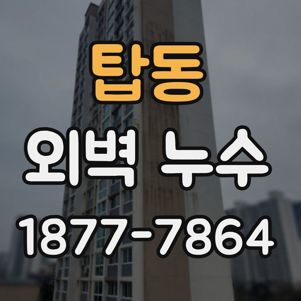 탑동 외벽 누수