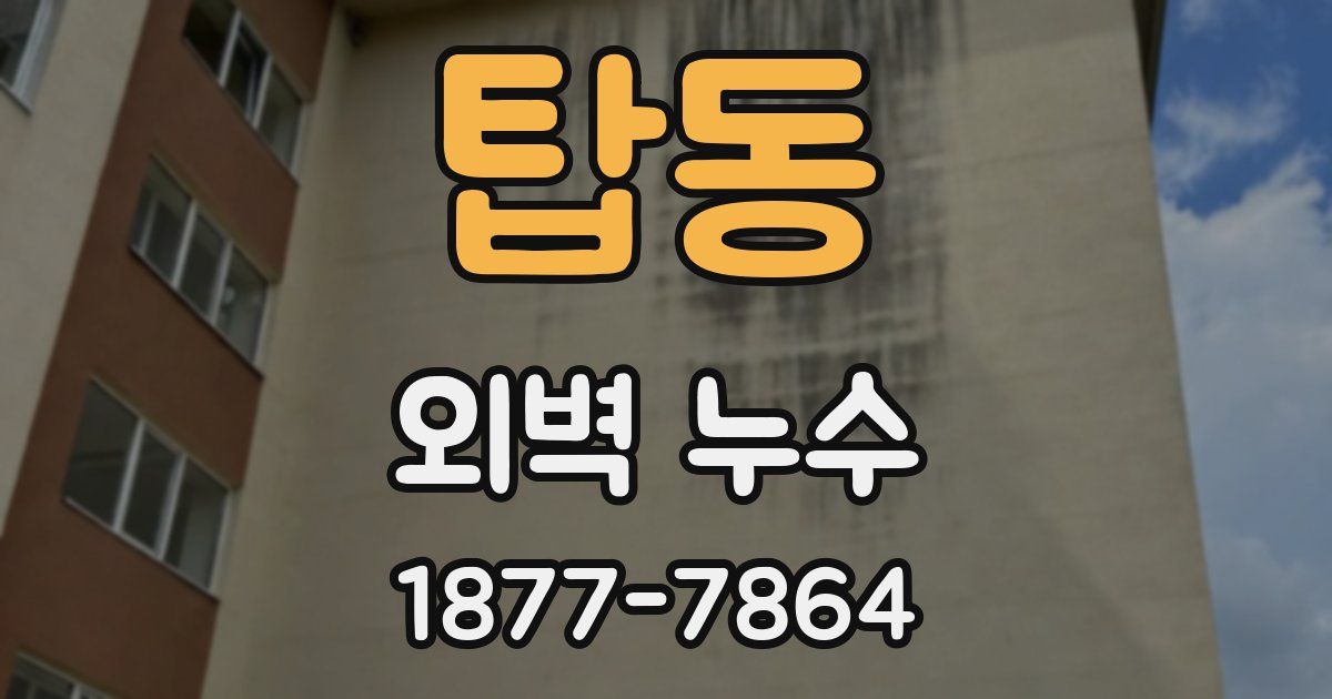 탑동 외벽 누수