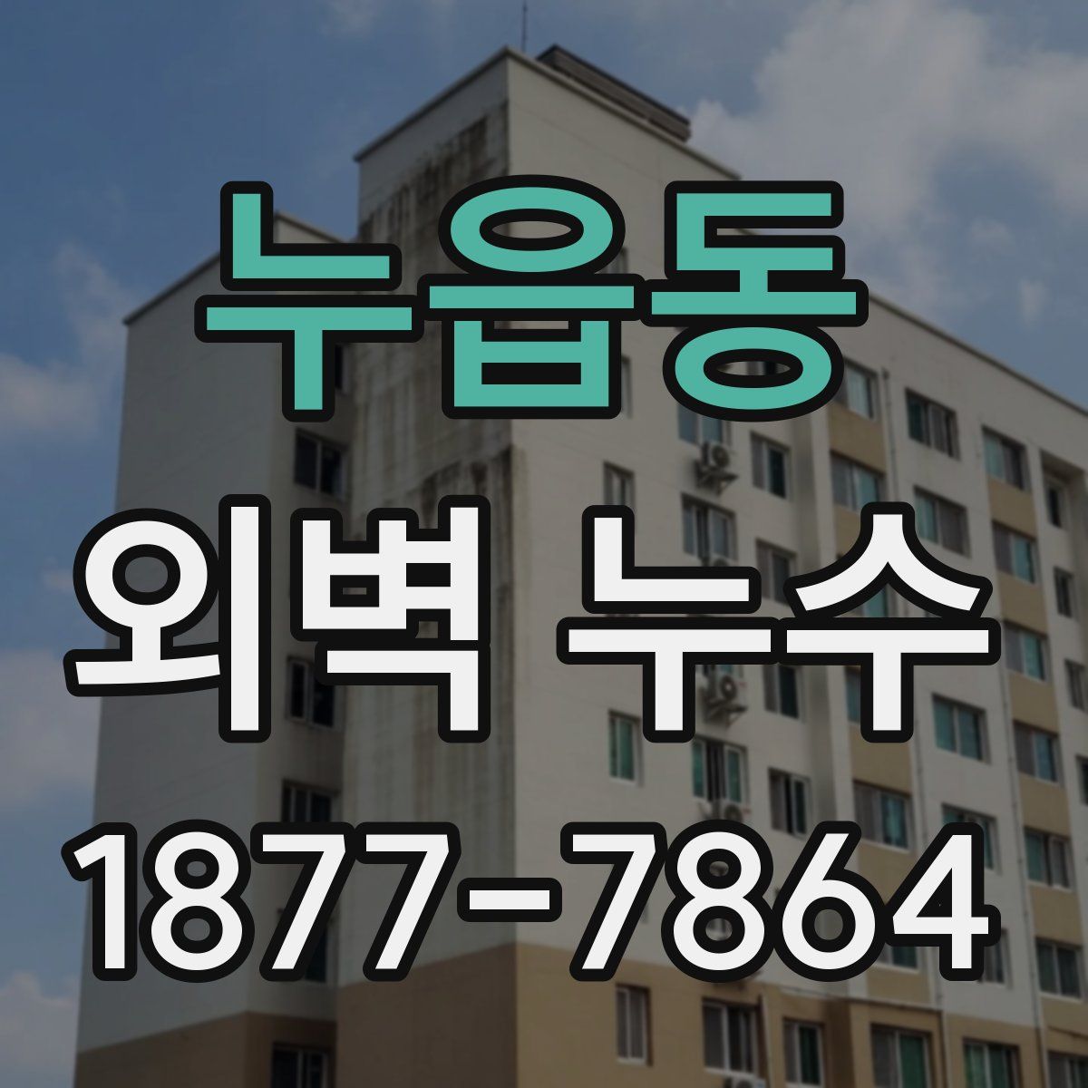 누읍동 외벽 누수