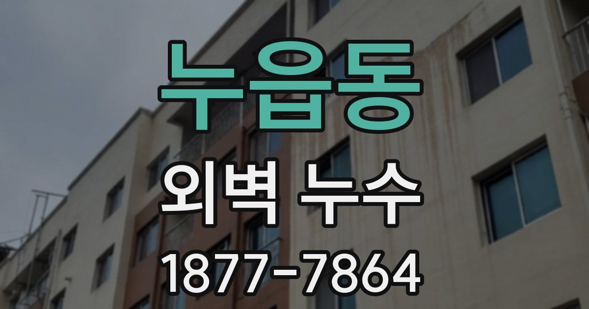 누읍동 외벽 누수