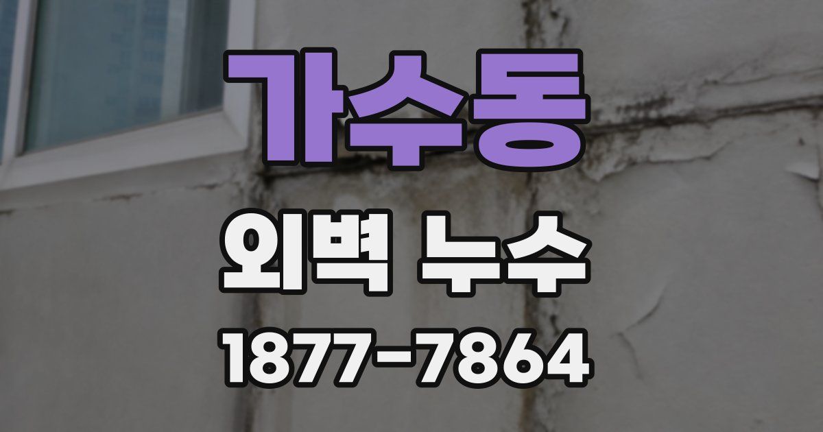 가수동 외벽 누수
