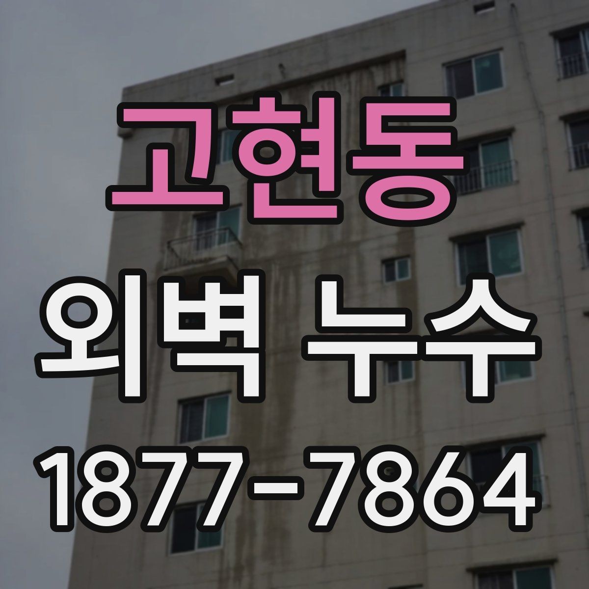 고현동 외벽 누수 예방과 점검을 함께 하는 방법