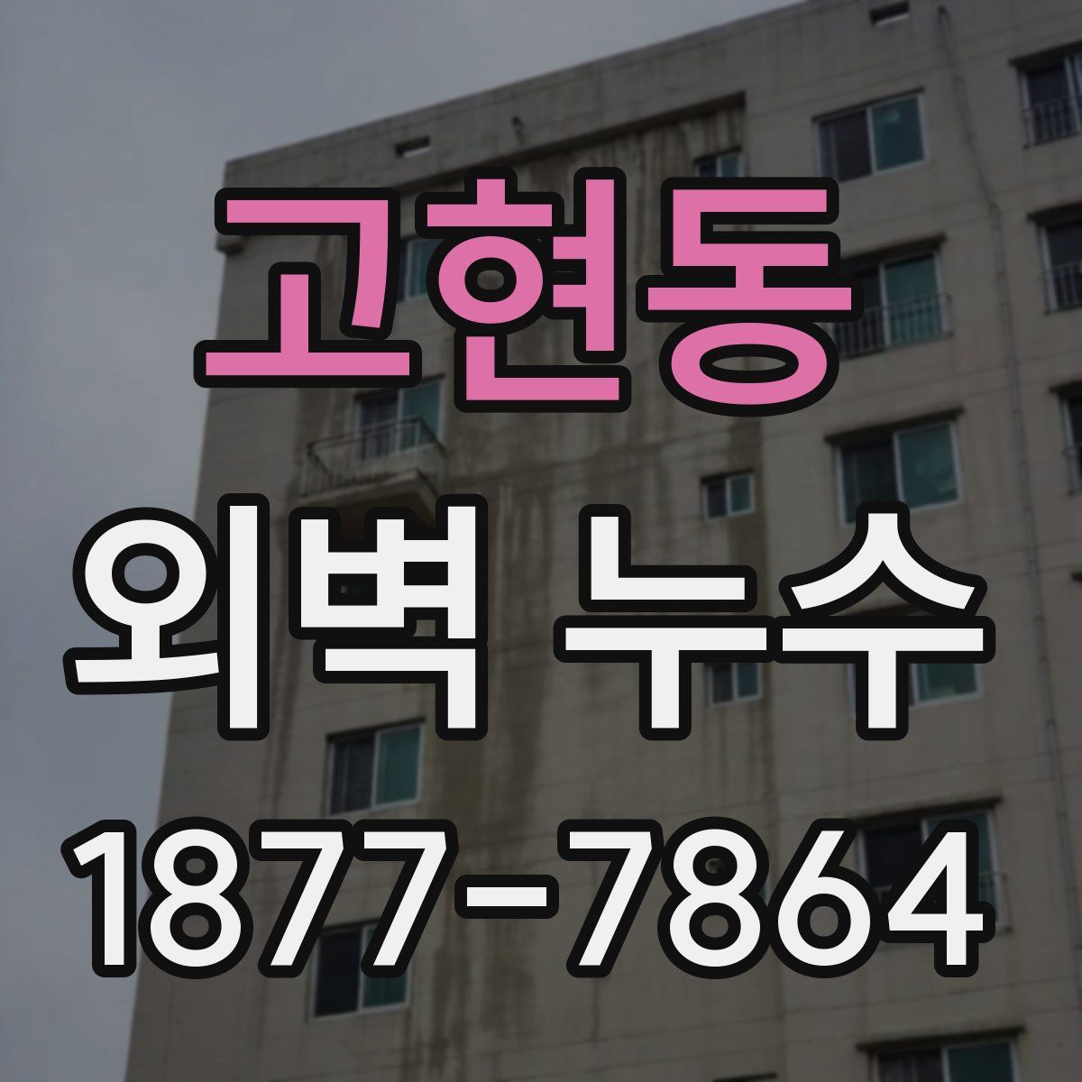 고현동 외벽 누수