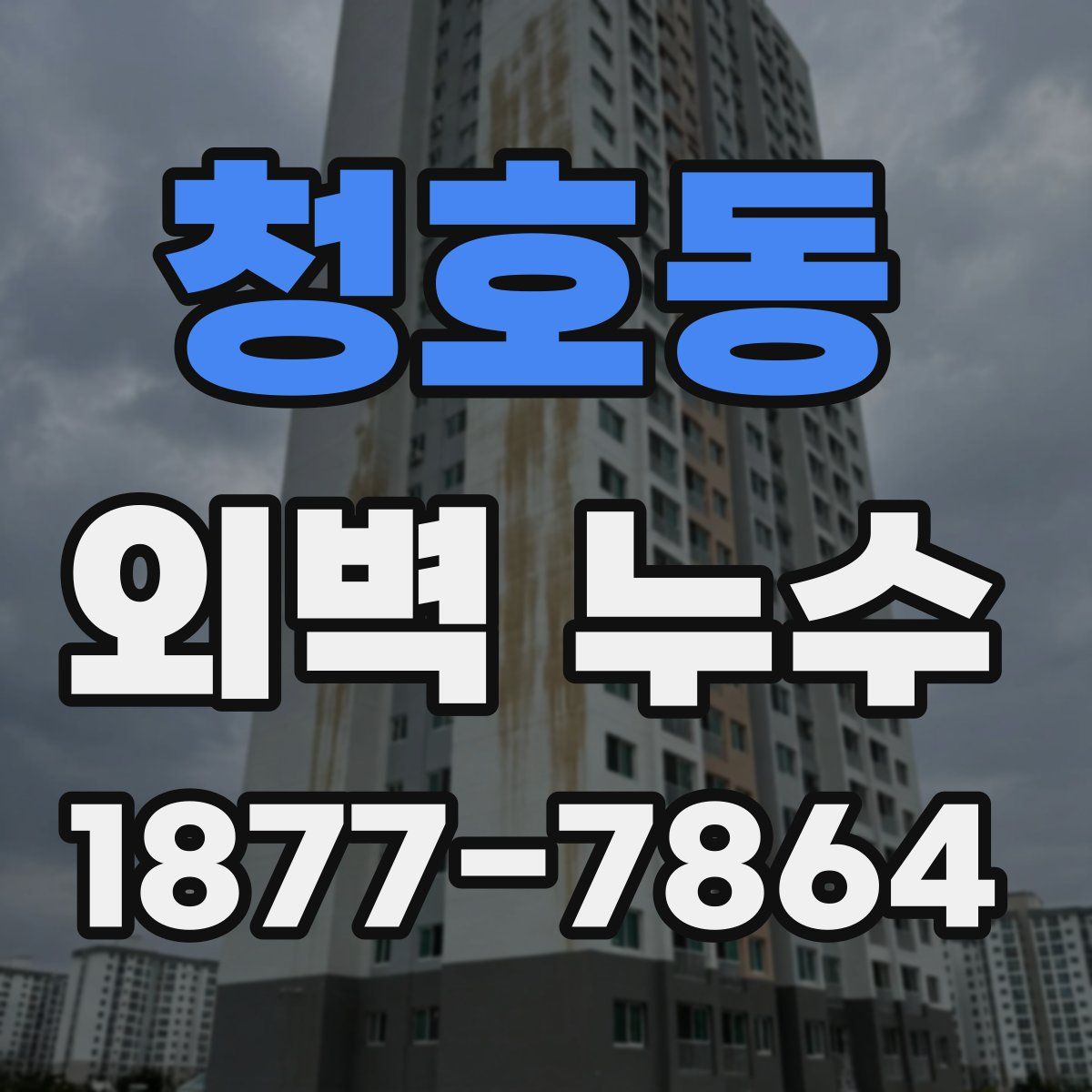 청호동 외벽 누수