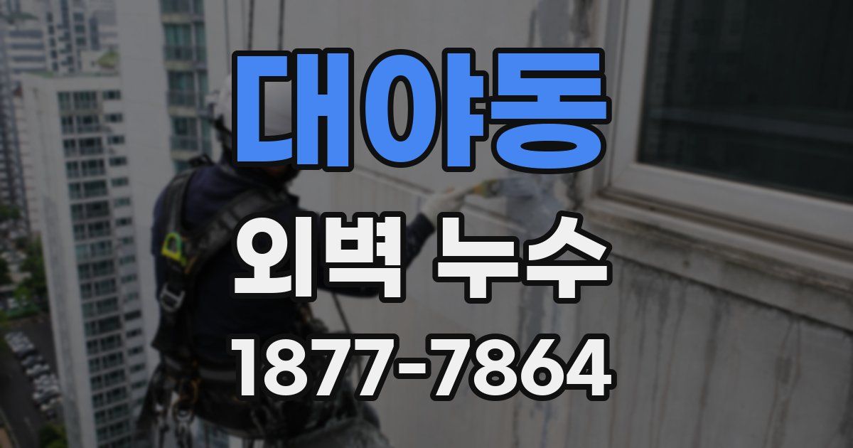 대야동 외벽 누수