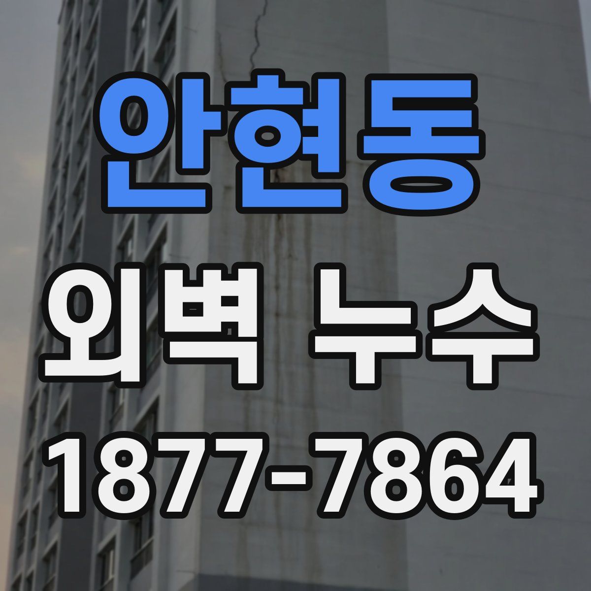 안현동 외벽 누수