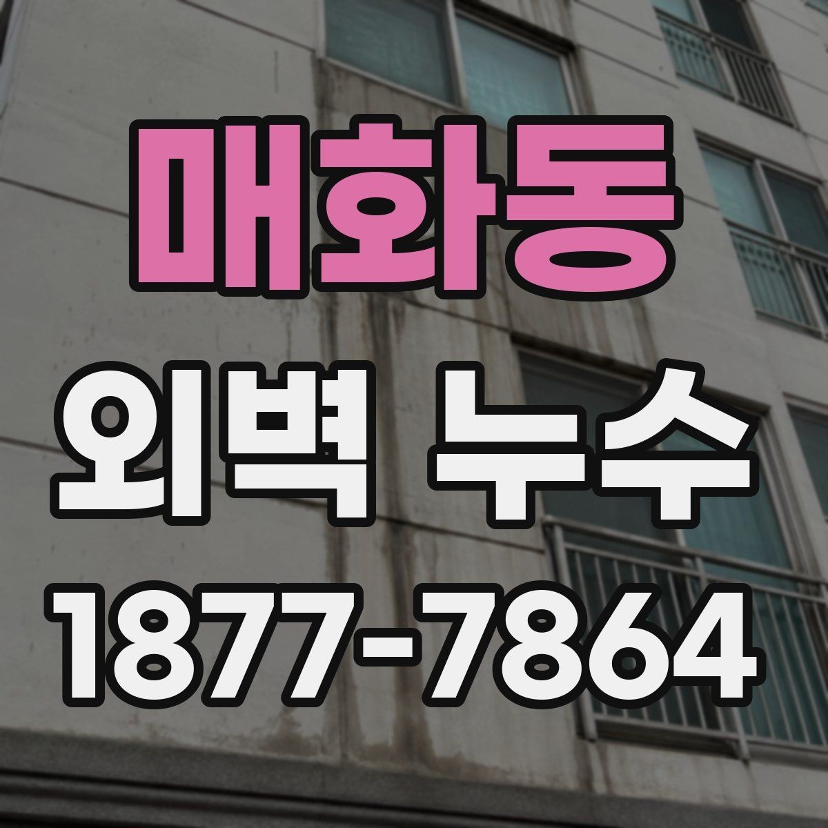 매화동 외벽 누수 현장 점검에서 보는 부분