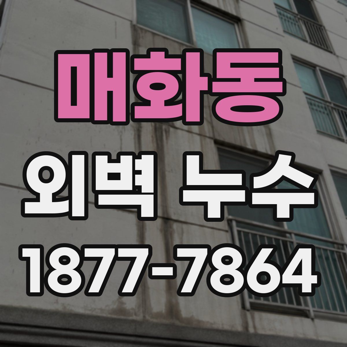 매화동 외벽 누수
