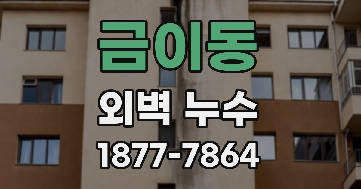 금이동 외벽 누수