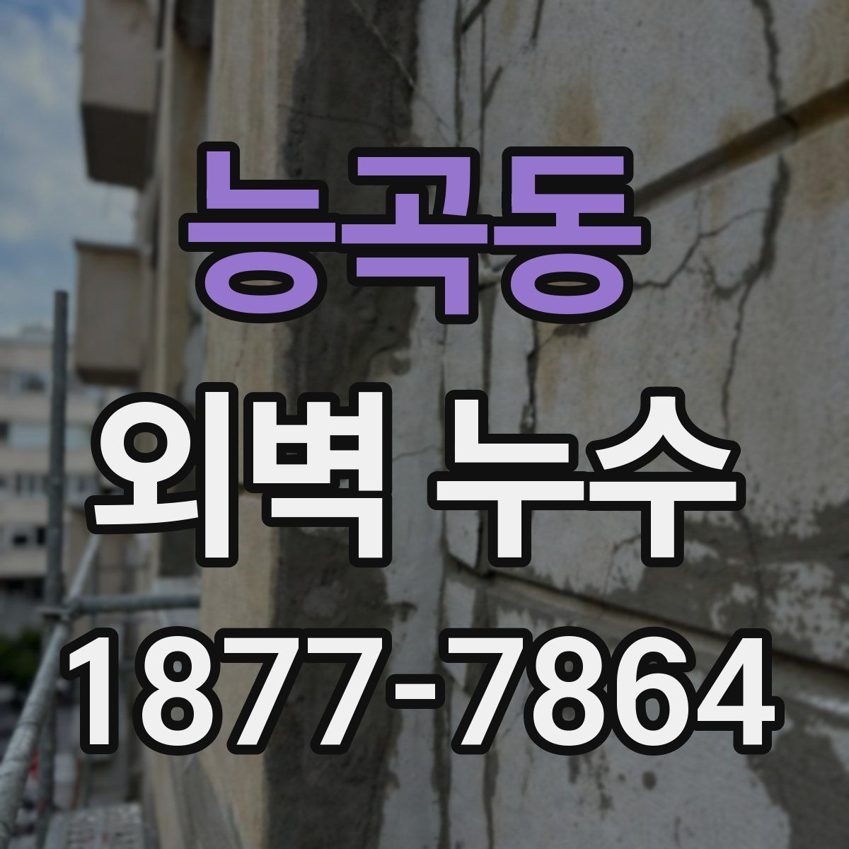 능곡동 외벽 누수