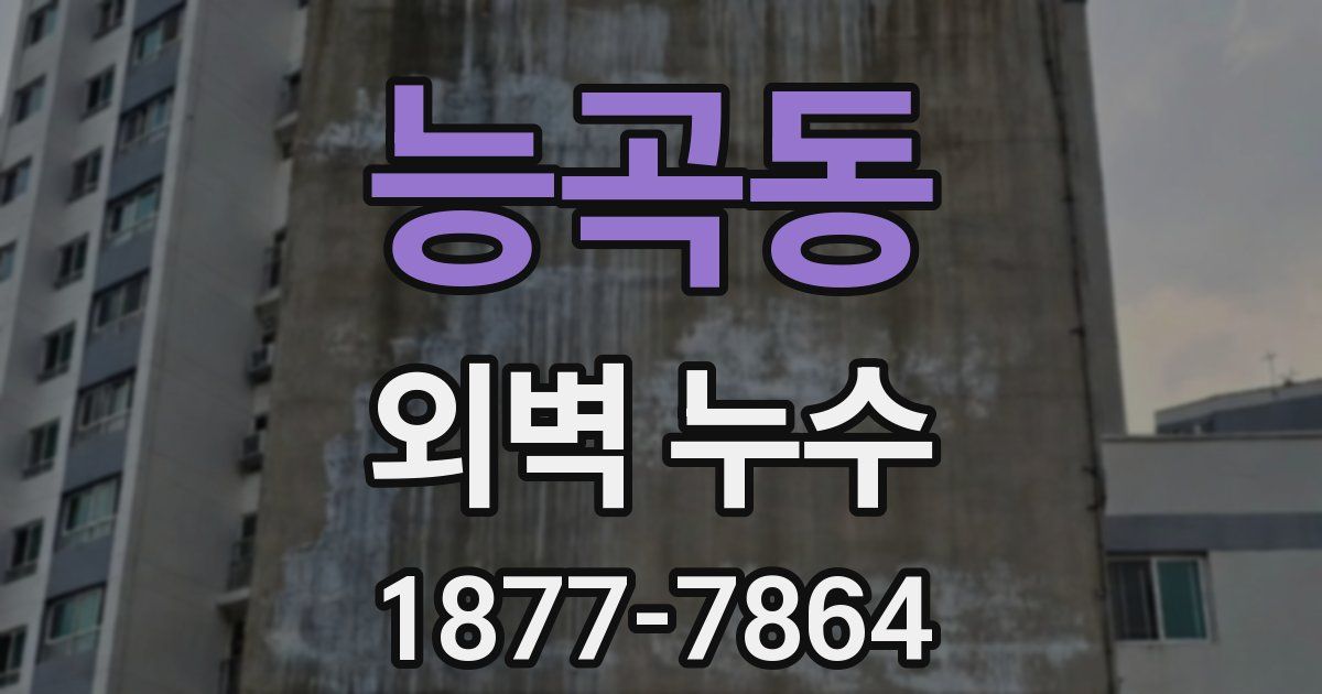 능곡동 외벽 누수