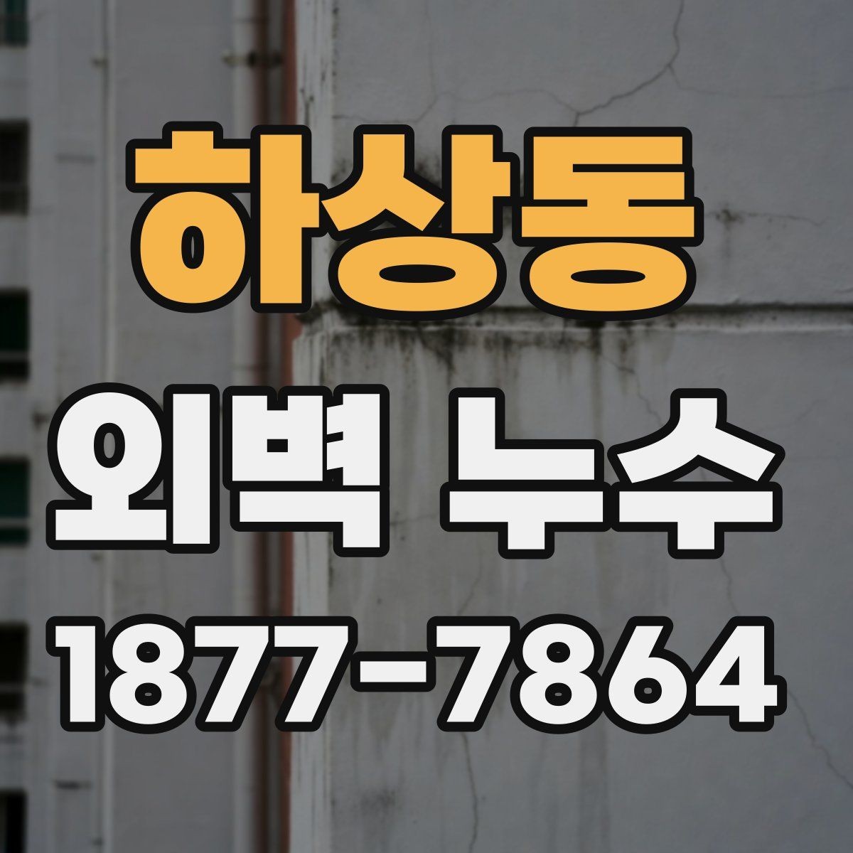 하상동 외벽 누수 진단을 위한 현장 확인 순서