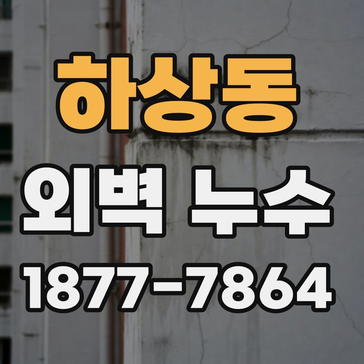 하상동 외벽 누수