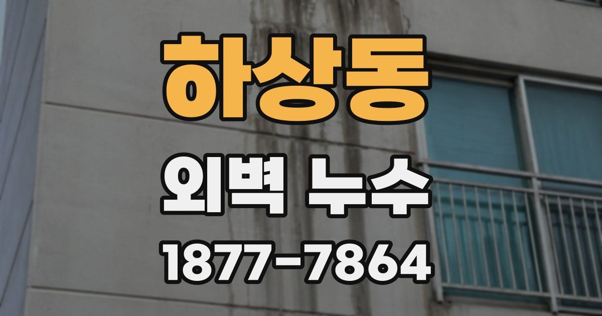 하상동 외벽 누수