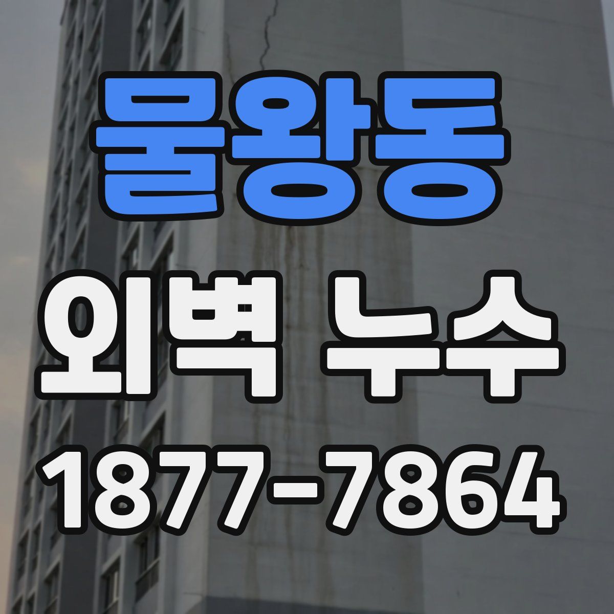 물왕동 외벽 누수