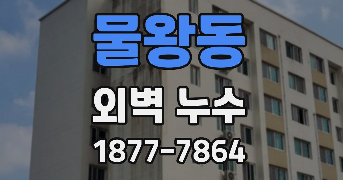 물왕동 외벽 누수