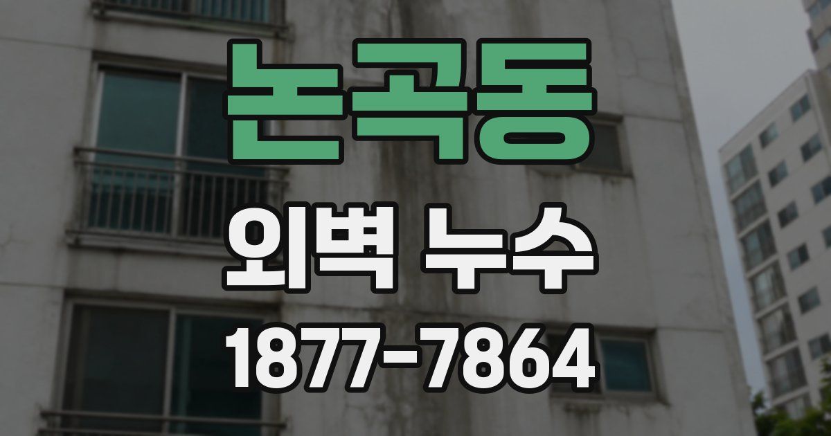 논곡동 외벽 누수