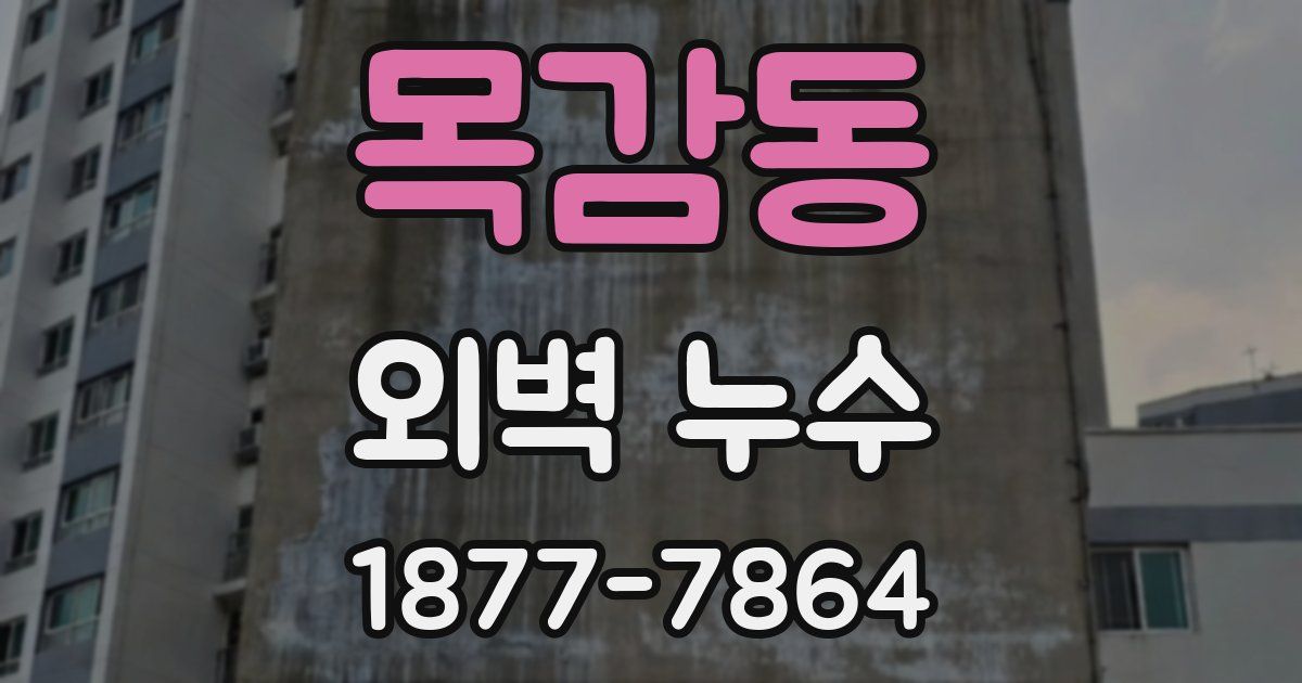 목감동 외벽 누수