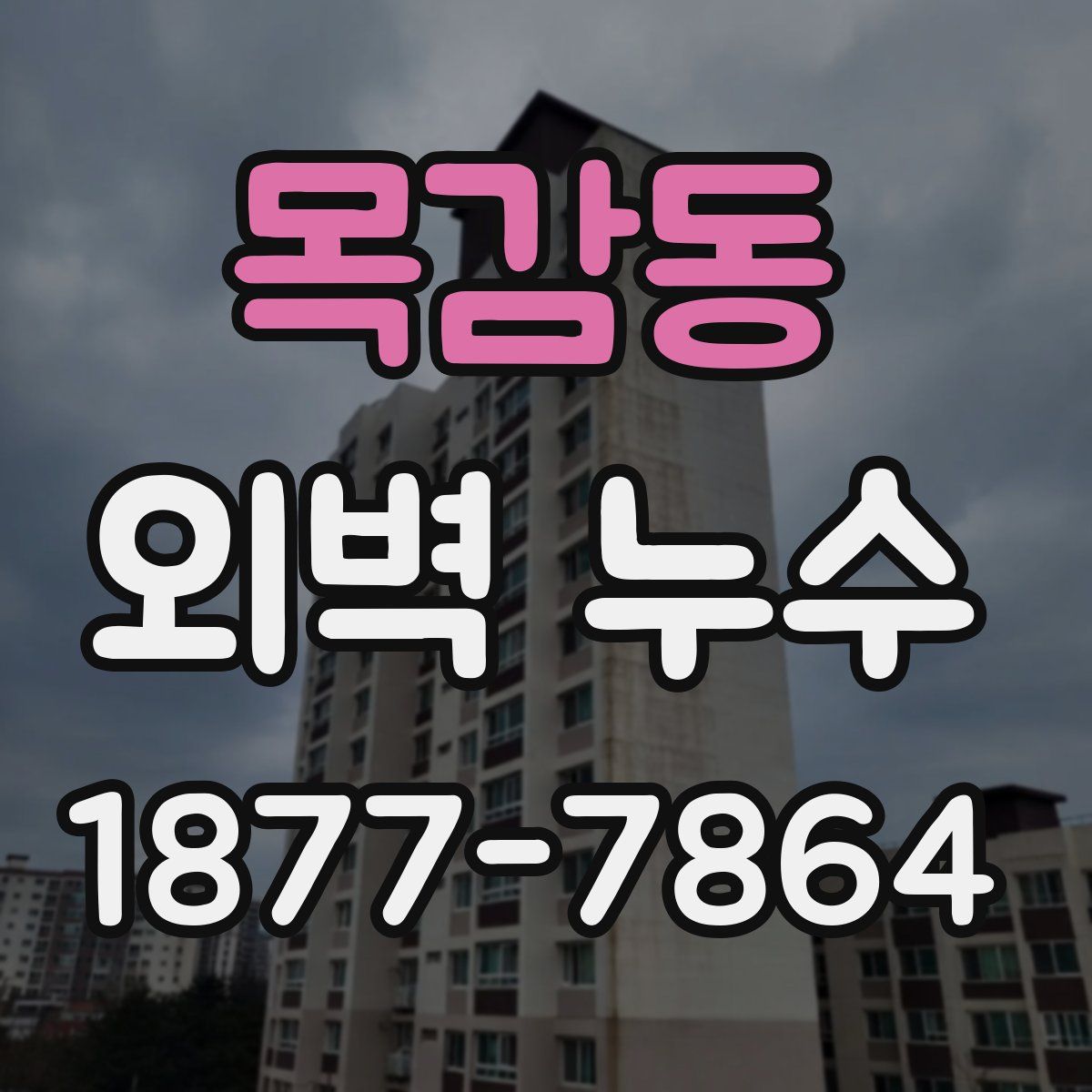 목감동 외벽 누수