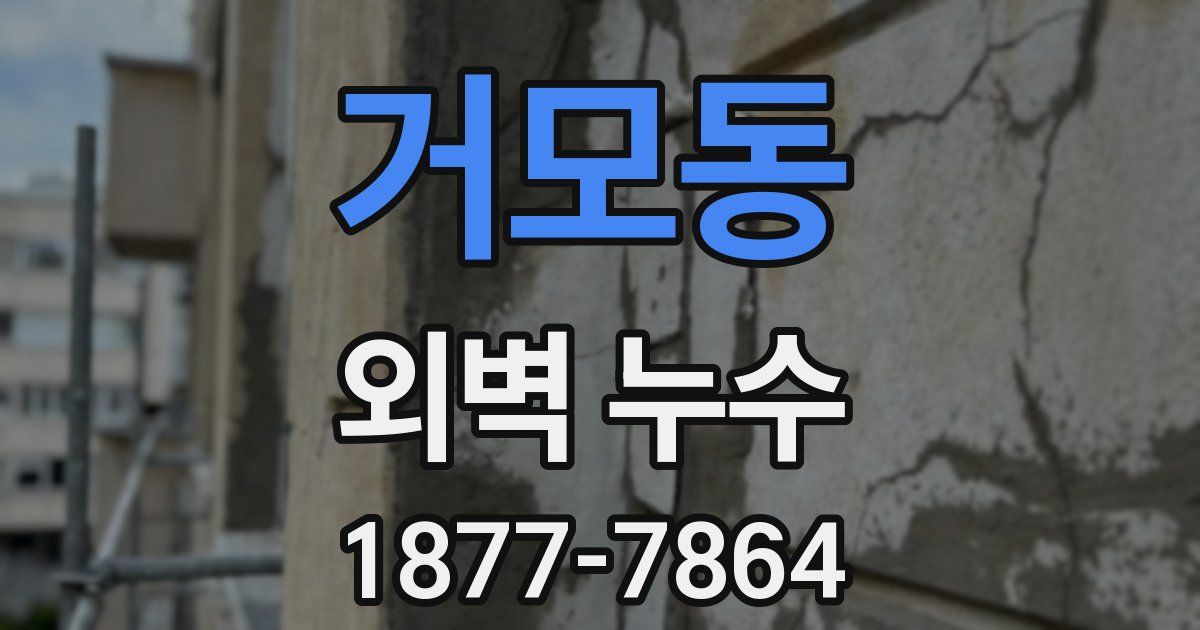 거모동 외벽 누수
