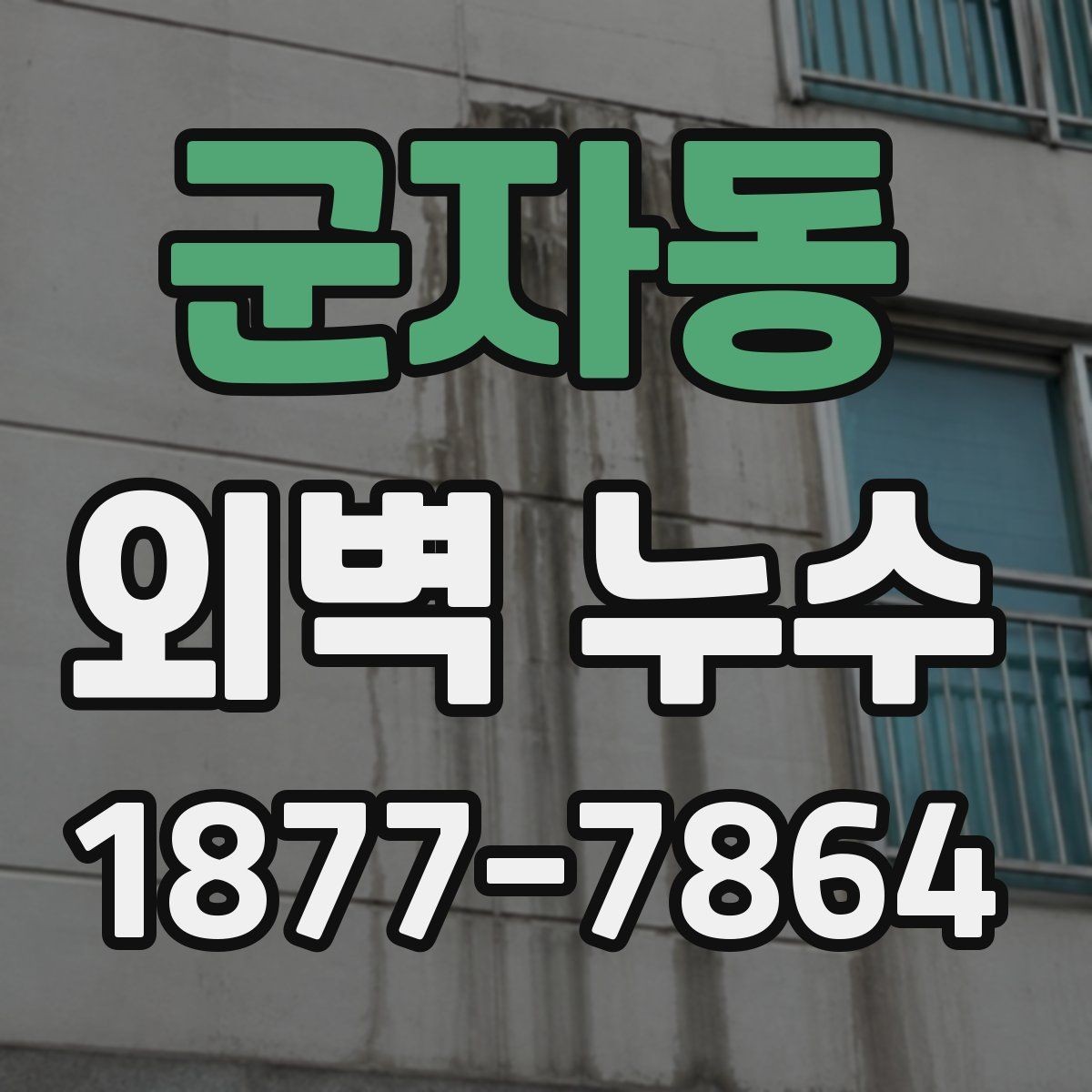 군자동 외벽 누수 사례로 보는 주요 원인
