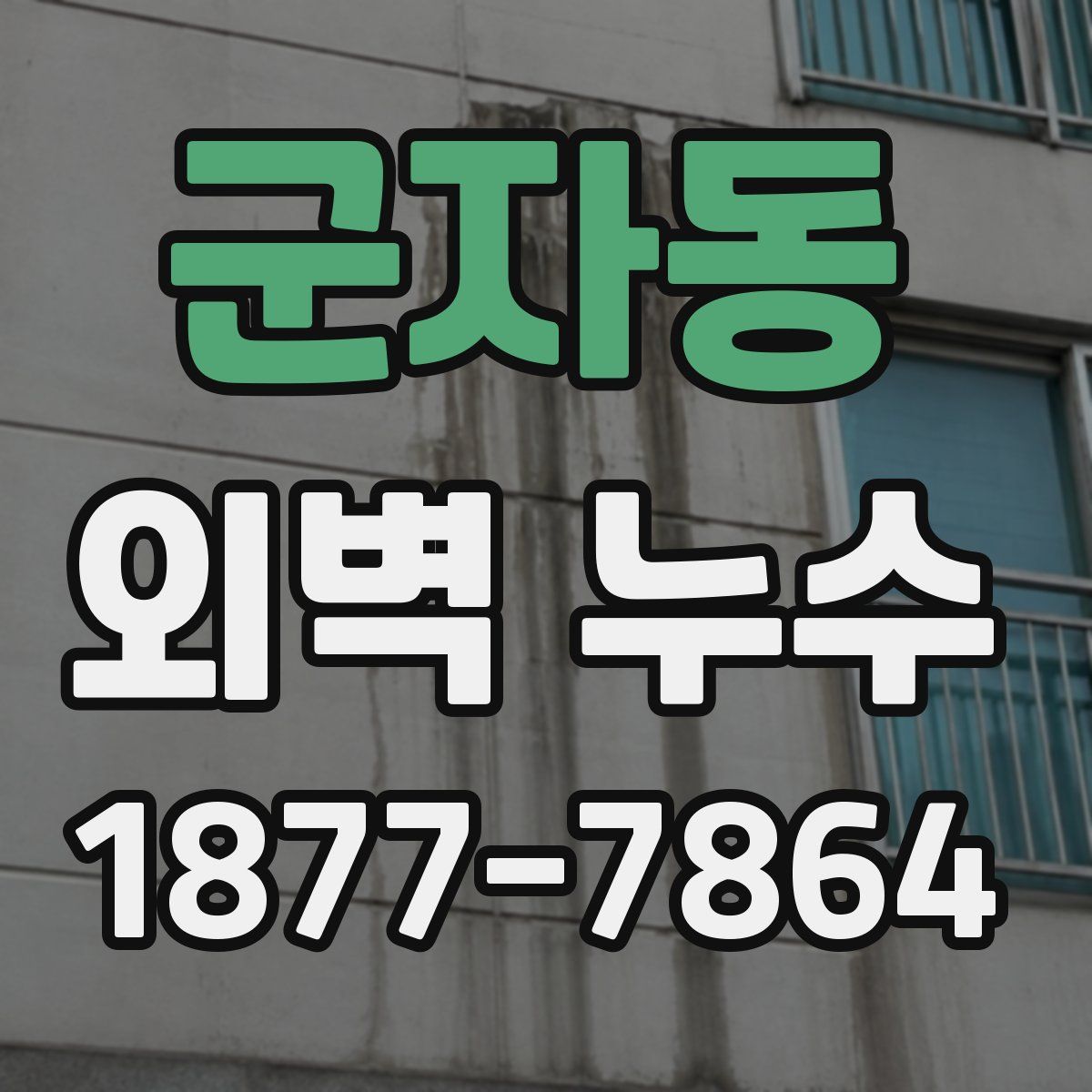 군자동 외벽 누수