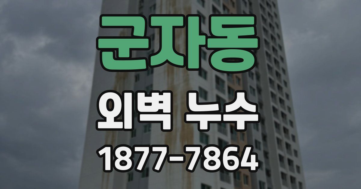 군자동 외벽 누수