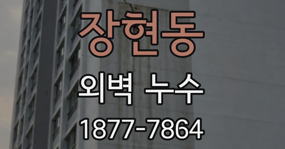 장현동 외벽 누수
