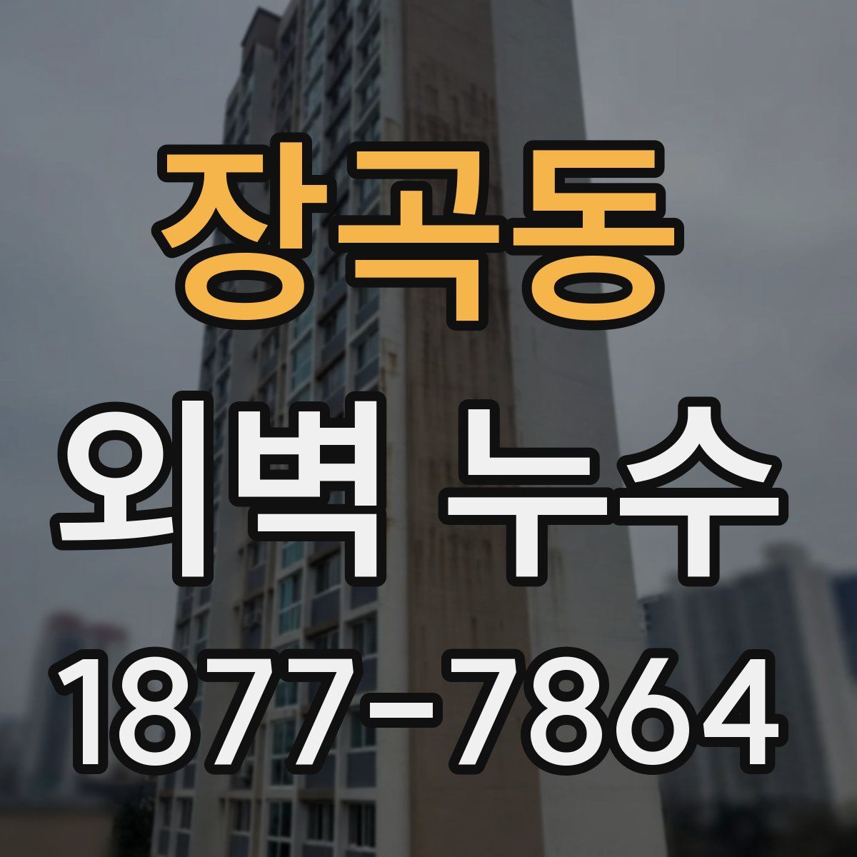 장곡동 외벽 누수