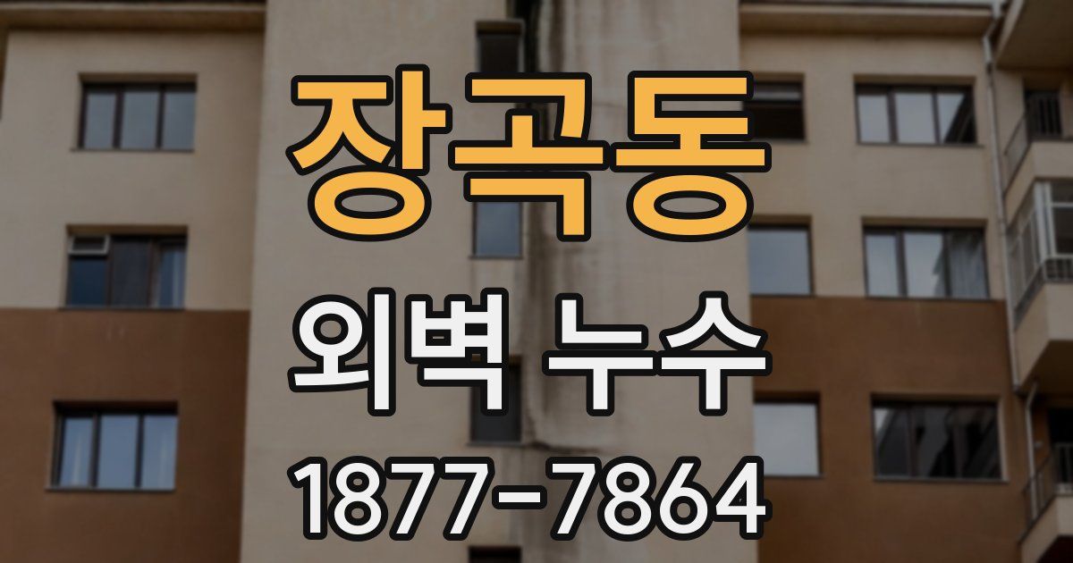 장곡동 외벽 누수