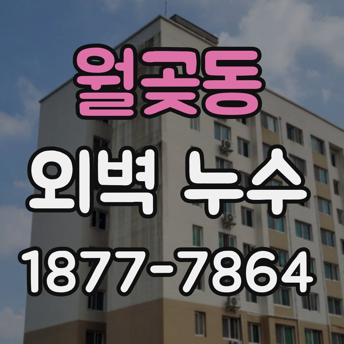월곶동 외벽 누수