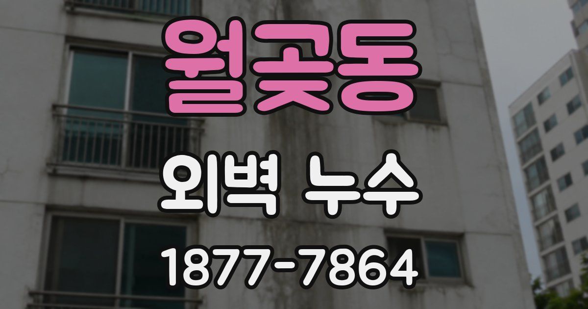 월곶동 외벽 누수
