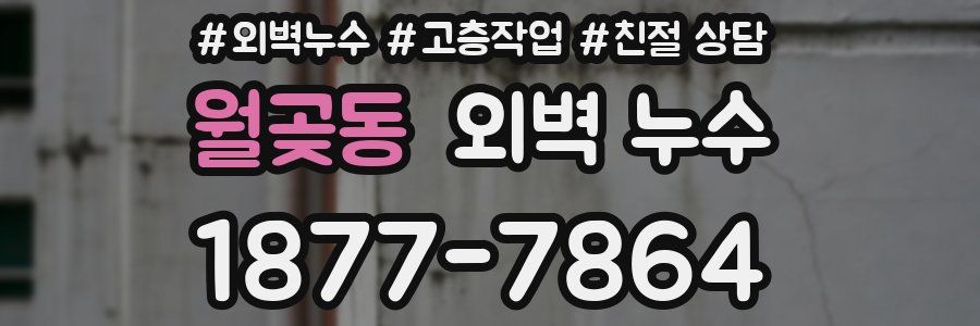 월곶동 외벽 누수