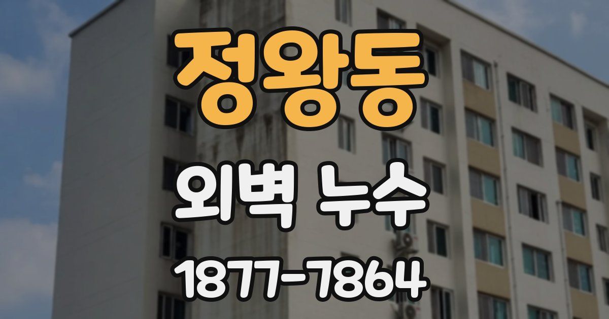 정왕동 외벽 누수