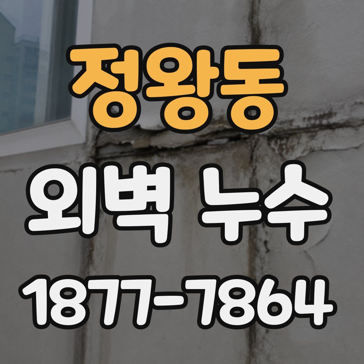 정왕동 외벽 누수