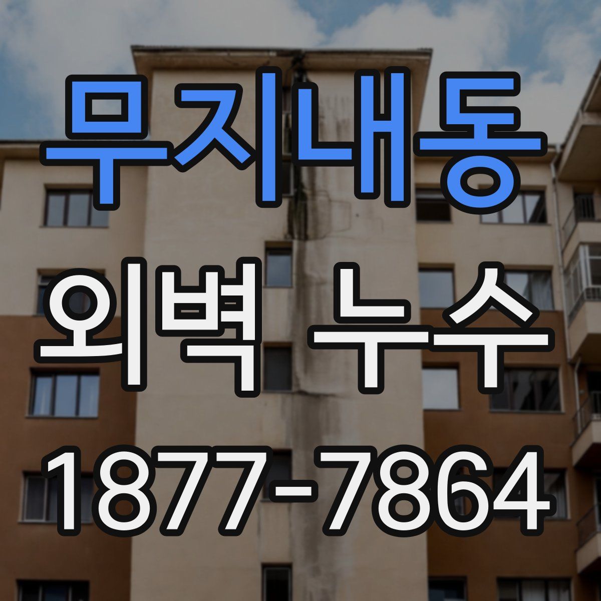 무지내동 외벽 누수