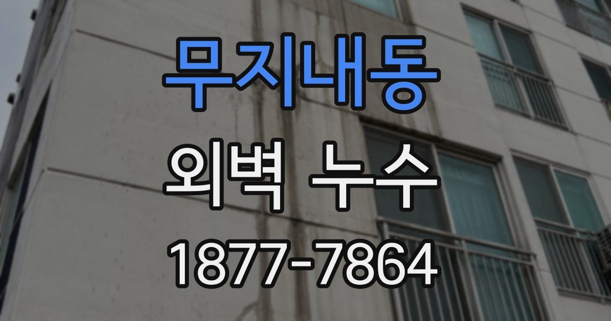 무지내동 외벽 누수