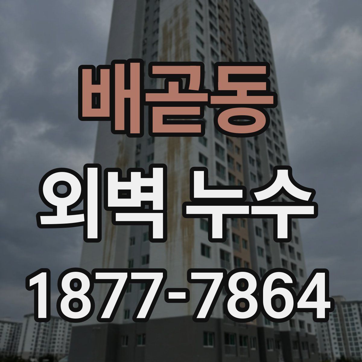 배곧동 외벽 누수