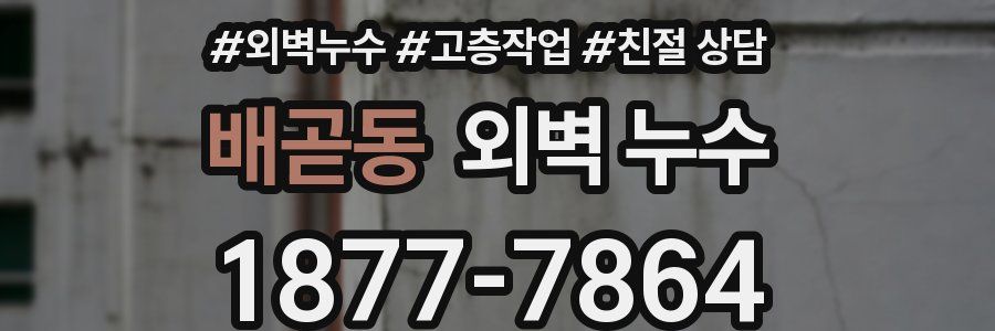 배곧동 외벽 누수