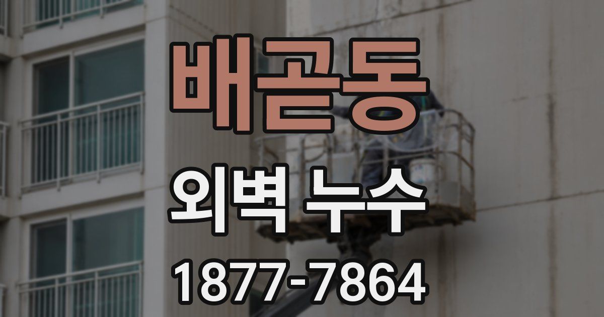 배곧동 외벽 누수