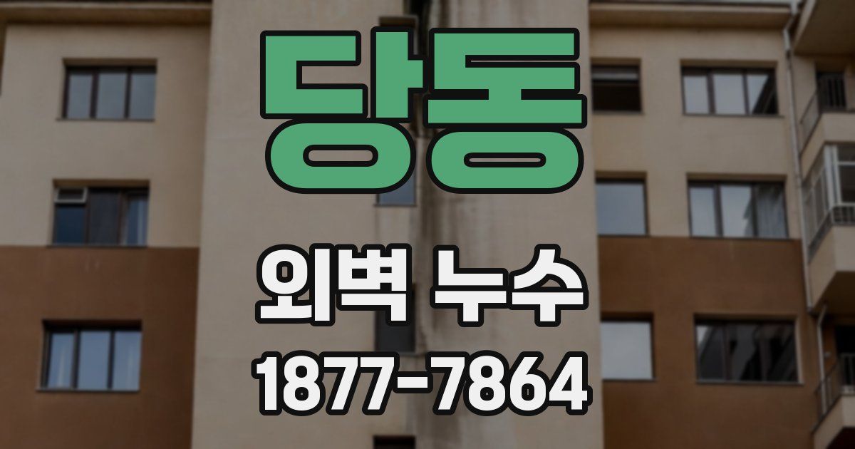 당동 외벽 누수