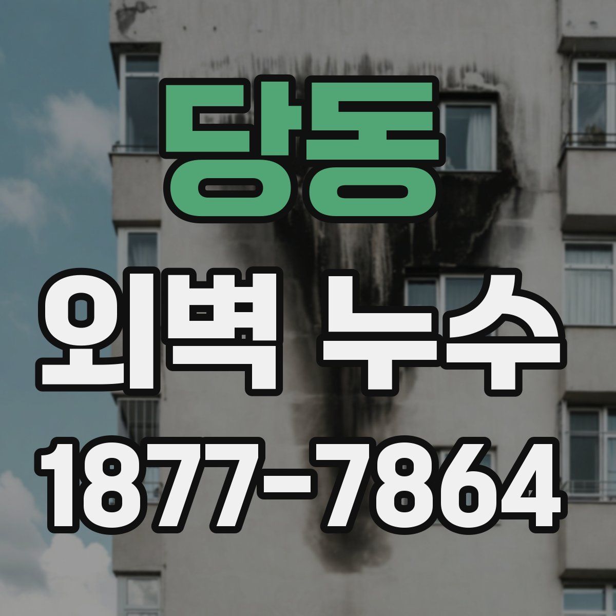 당동 외벽 누수