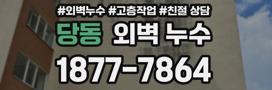 당동 외벽 누수