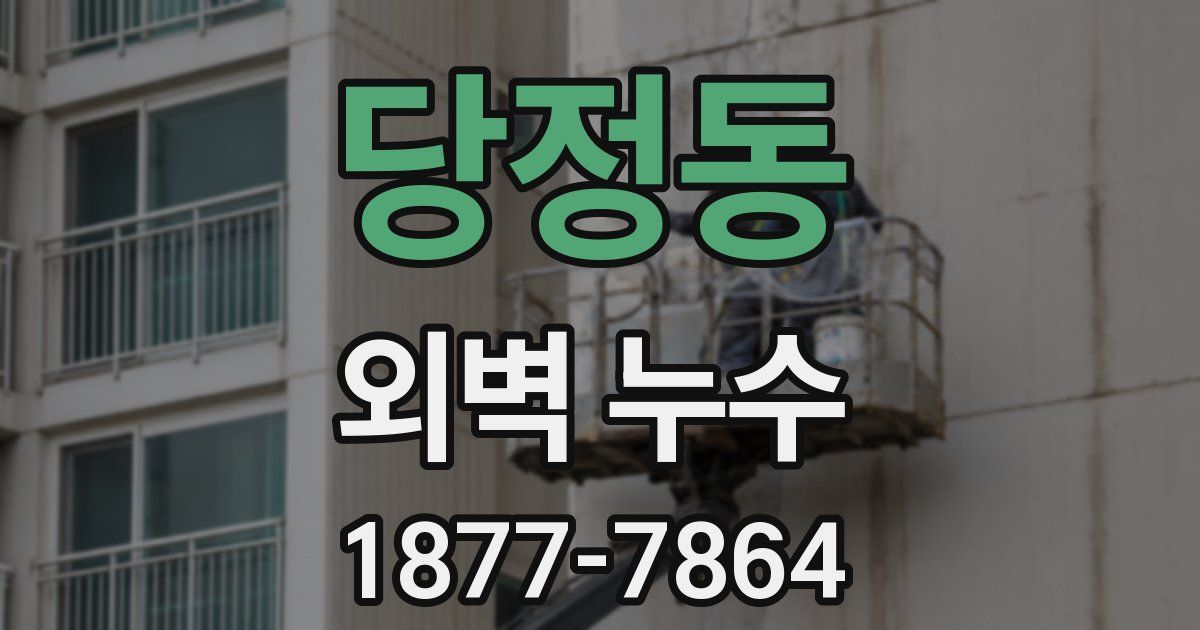 당정동 외벽 누수