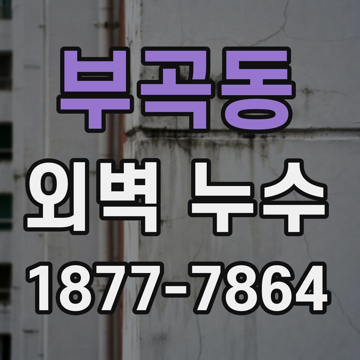 부곡동 외벽 누수