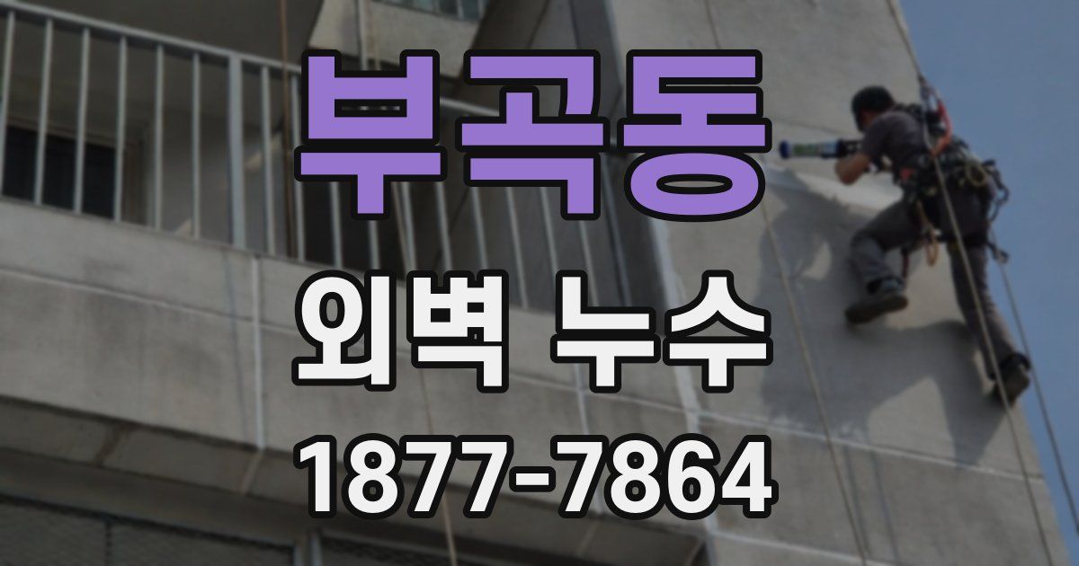 부곡동 외벽 누수