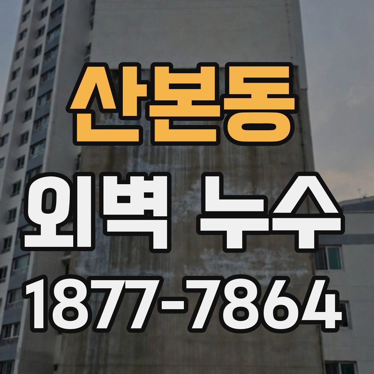 산본동 외벽 누수