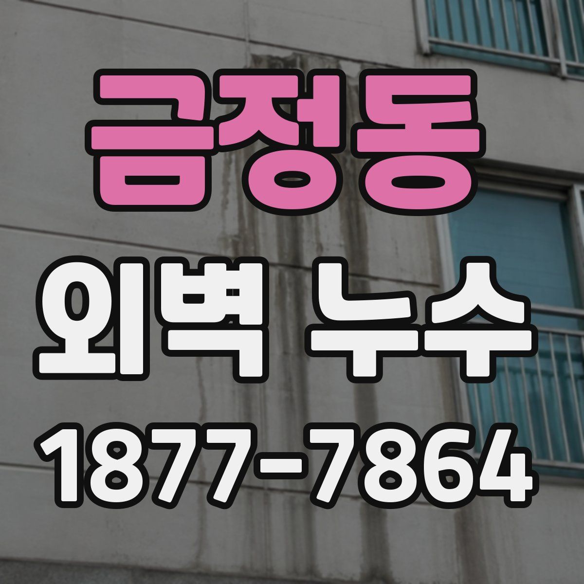 금정동 외벽 누수
