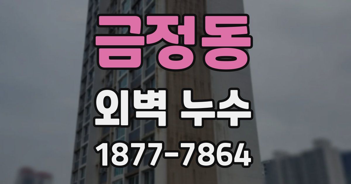 금정동 외벽 누수