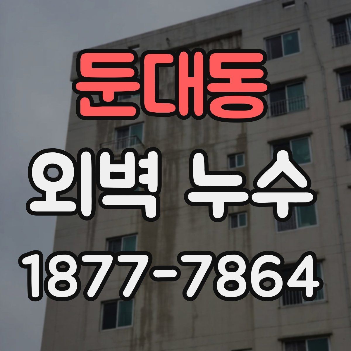 둔대동 외벽 누수 원인과 점검이 필요한 신호